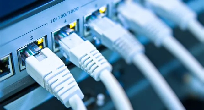 Dây mạng kết nối vào switch