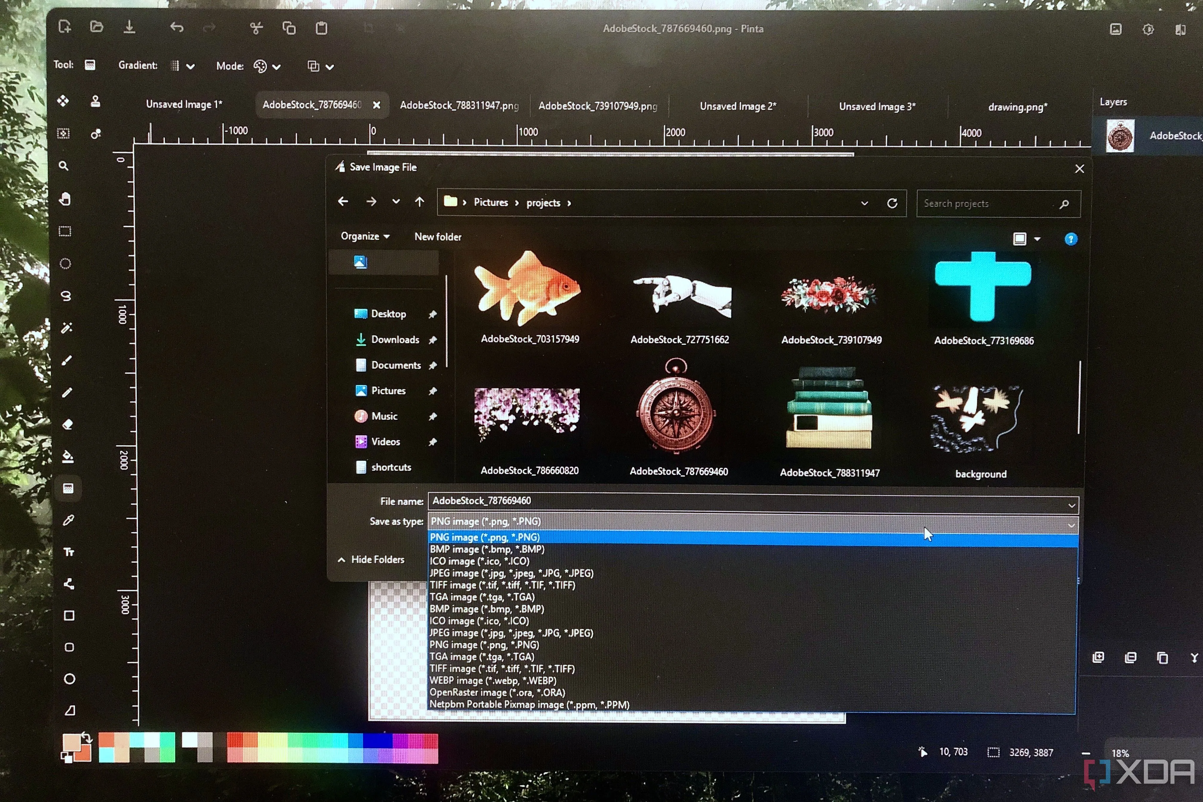 Giao diện các tùy chọn xuất file trong phần mềm Pinta, hiển thị các định dạng phổ biến như PNG, JPEG, TIFF, ICO.