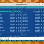Giao diện Midnight Commander trên Linux với hai khung hiển thị thư mục