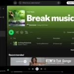 Giao diện Spotify với danh sách phát nhạc riêng biệt cho công việc và giải lao