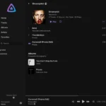Giao diện tổng quan các bản nhạc trong ứng dụng Jelly Music App dành cho Jellyfin