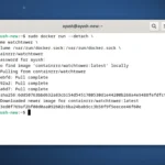 Giao diện triển khai server Watchtower để tự động cập nhật container