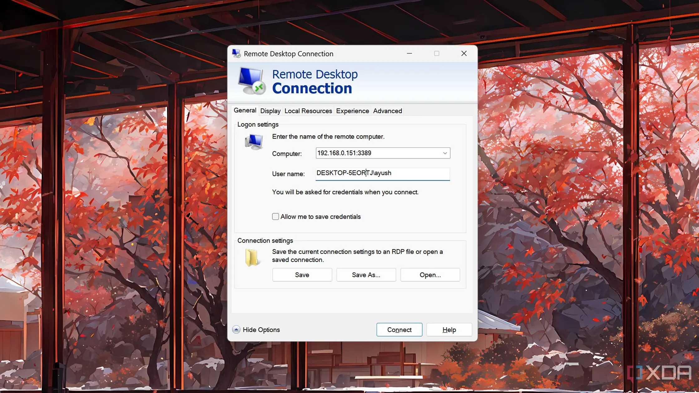 Giao diện truy cập máy ảo Windows 11 qua Remote Desktop Protocol (RDP)