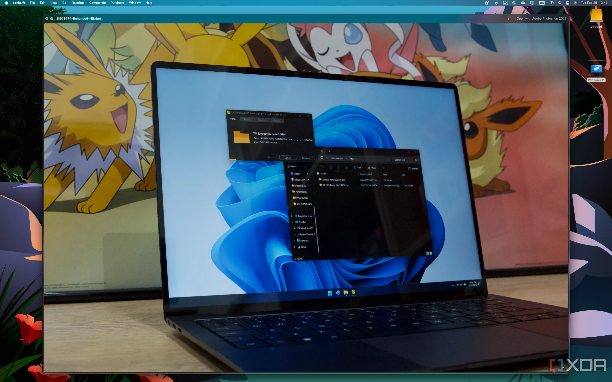 Hình ảnh minh họa việc sử dụng Quick Look trên macOS để xem nhanh một tệp ảnh