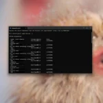 Hình ảnh Windows Terminal hiển thị lệnh Linux (sudo) đang thực thi với quyền quản trị.