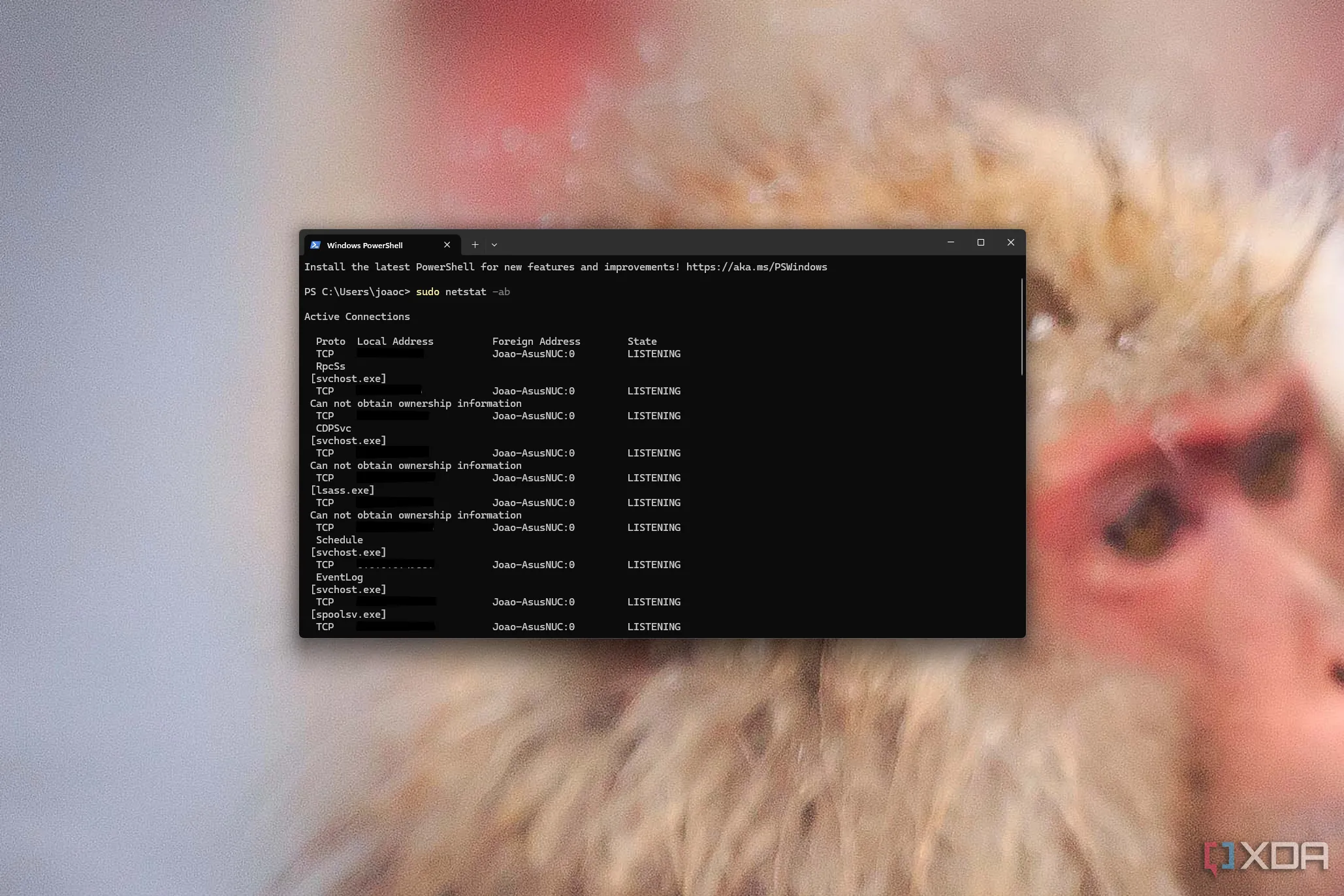 Hình ảnh Windows Terminal hiển thị lệnh Linux (sudo) đang thực thi với quyền quản trị.