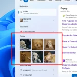 Kết quả tìm kiếm hình ảnh dạng lưới mới trong Windows Search trên Windows 11