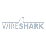 Logo Wireshark nổi bật trên nền sáng, biểu tượng cho công cụ phân tích mạng chuyên sâu.