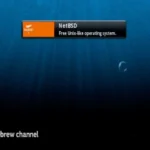 Màn hình Nintendo Wii với giao diện Homebrew Channel, cho thấy khả năng tùy biến để chạy các ứng dụng không chính thức như máy chủ web
