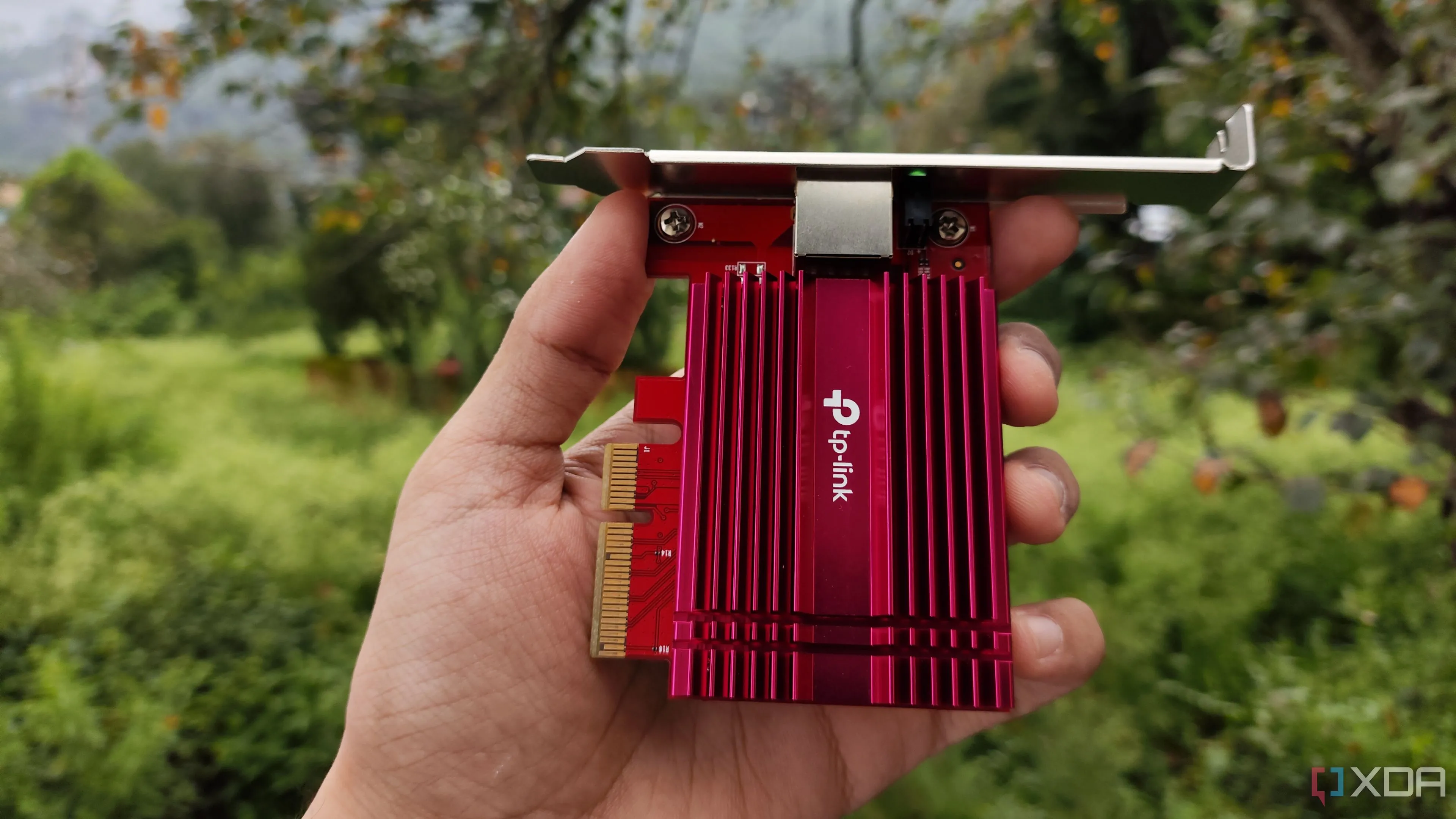 Một người đang cầm card mạng 10G TP-Link, minh họa khả năng tương thích driver khi ảo hóa OPNsense