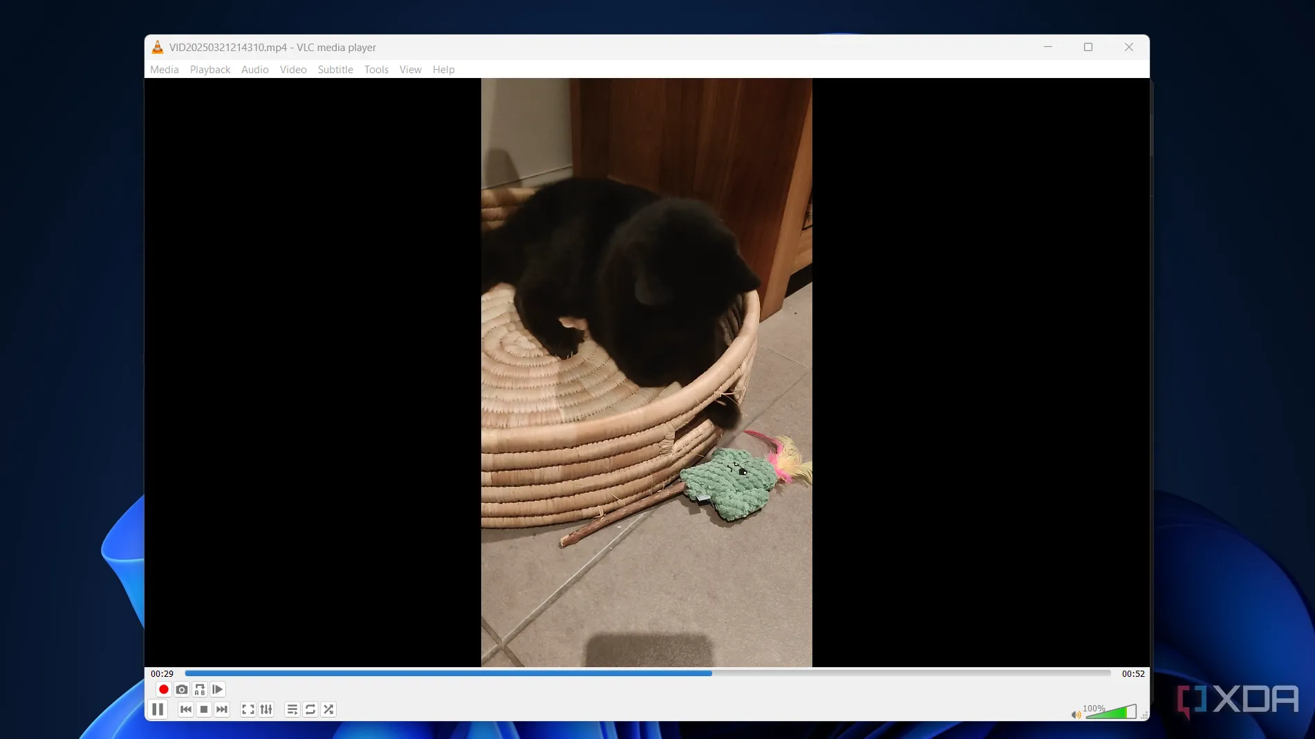 Một video về mèo đang được phát trên ứng dụng VLC Media Player, minh họa khả năng phát đa định dạng
