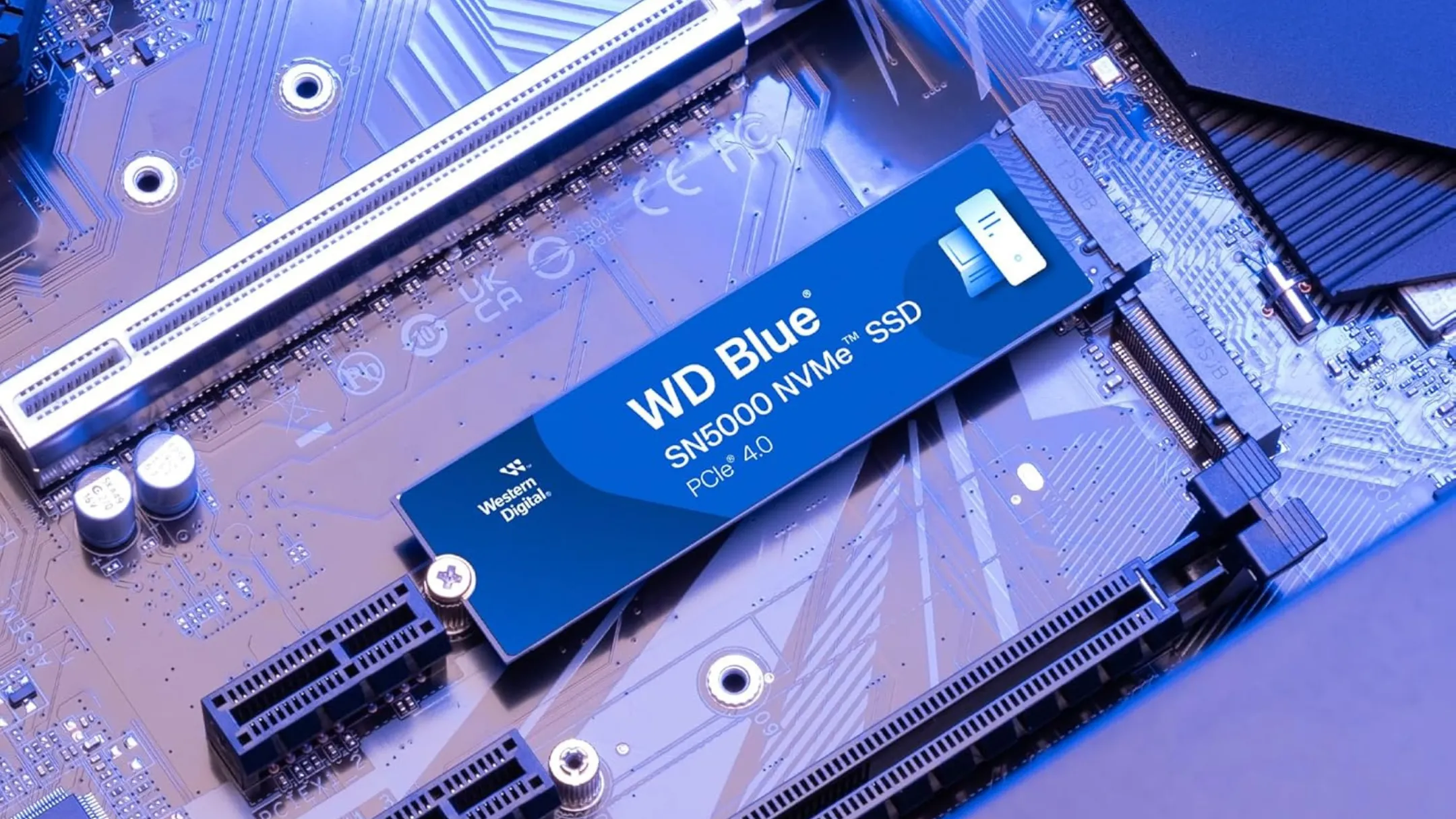 Ổ cứng SSD M.2 NVMe WD Blue SN5000 với tốc độ đọc ghi ấn tượng