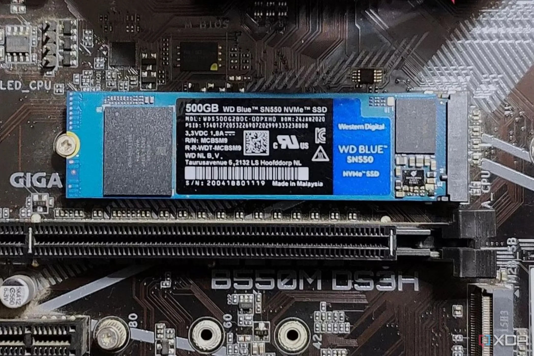 Ổ cứng SSD WD Blue SN550 M.2 không có chip DRAM vật lý trên bo mạch chủ
