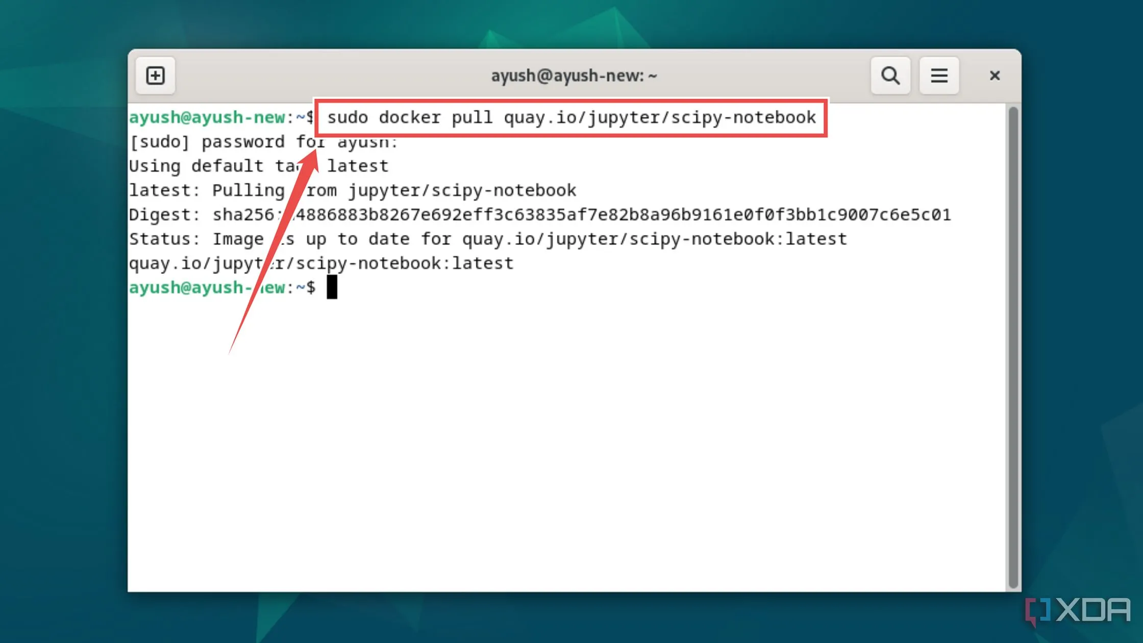 Sử dụng lệnh docker pull để tải ảnh Jupyter Notebook