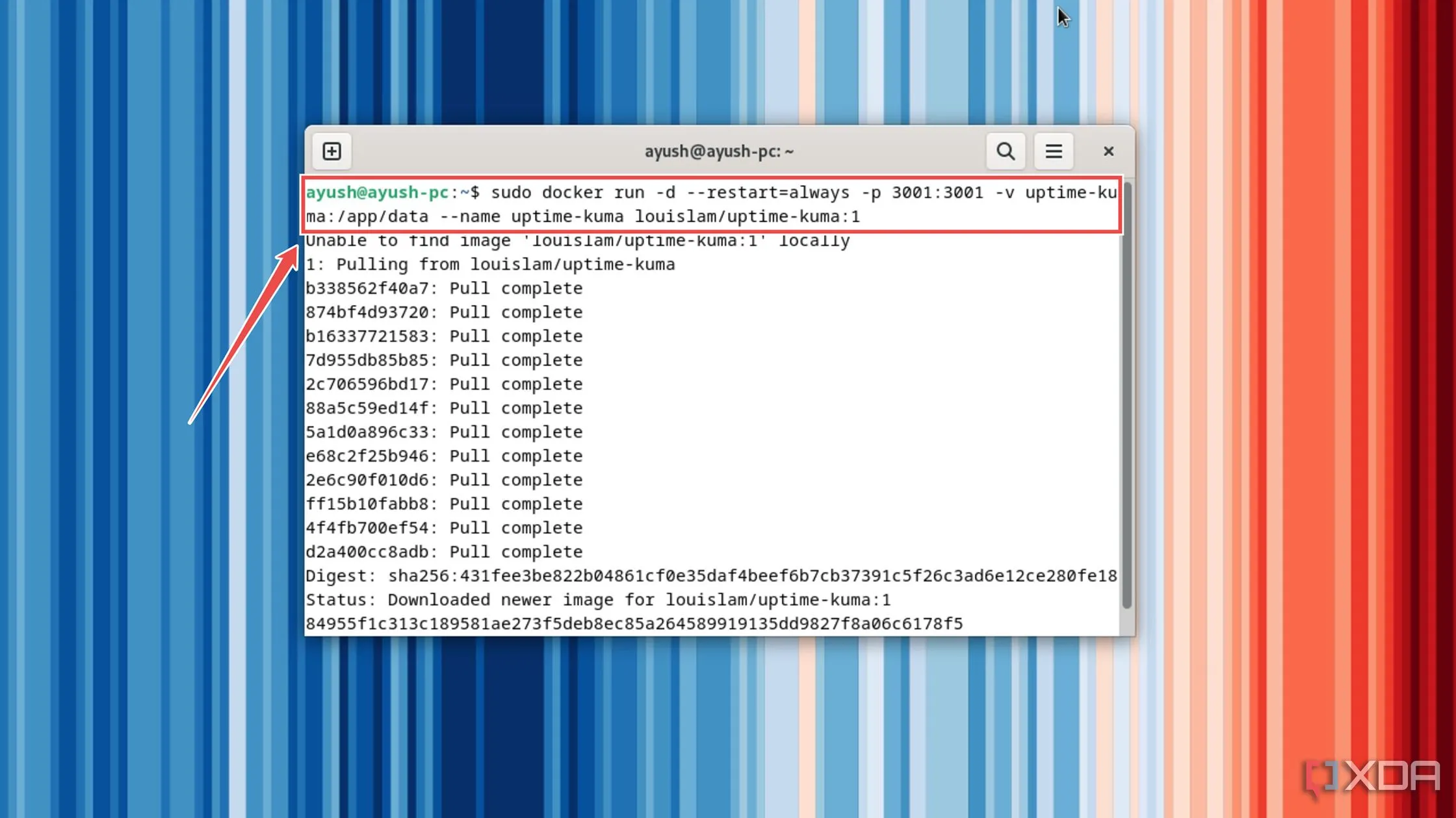 Thực thi lệnh Docker để triển khai Uptime Kuma server