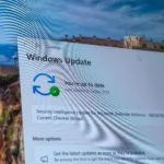Trang Windows Update trên Windows 11 hiển thị trạng thái cập nhật