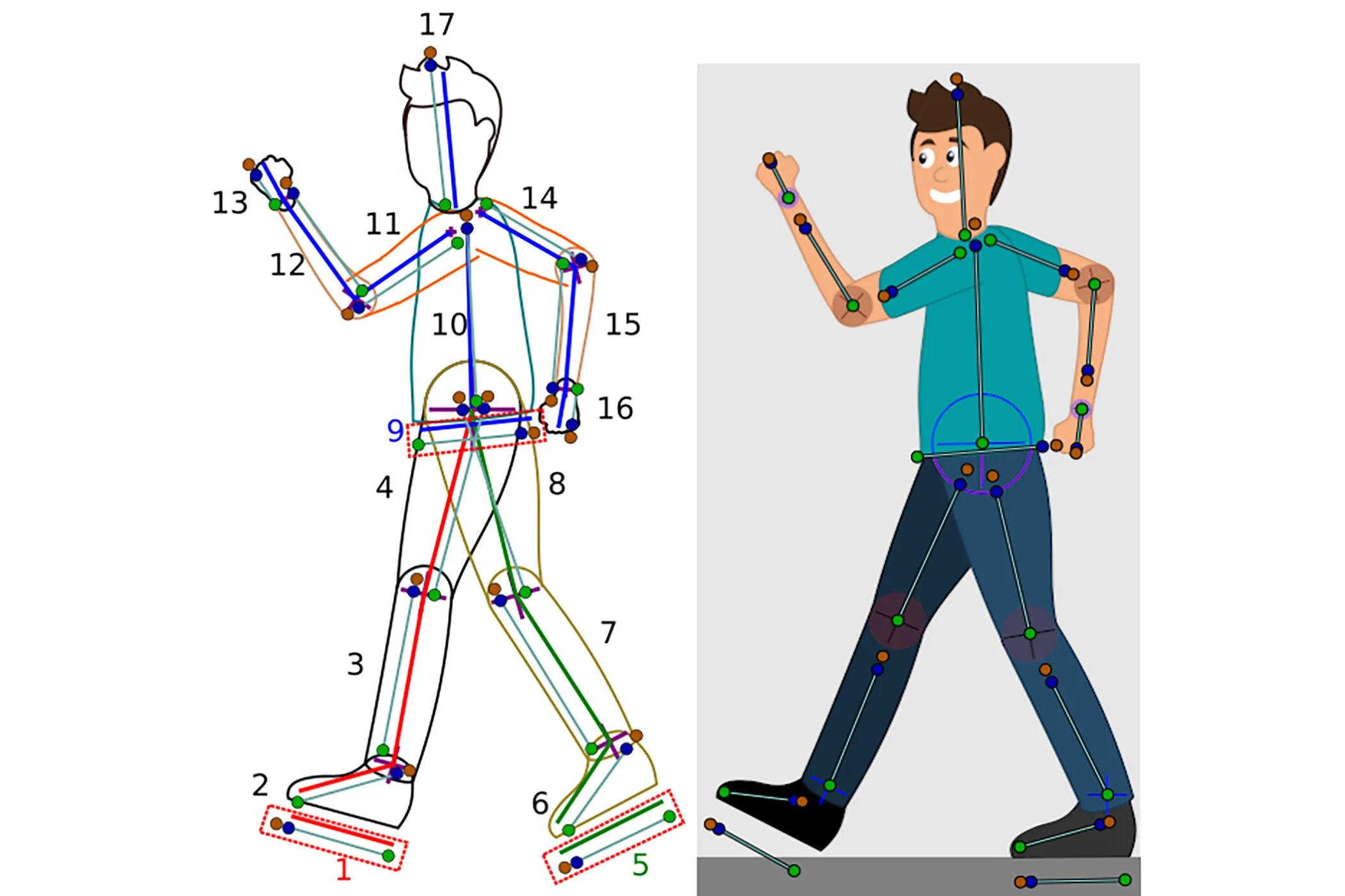 Ví dụ hoạt hình cấu trúc xương trong Synfig Studio, mô phỏng chuyển động đi bộ tự nhiên